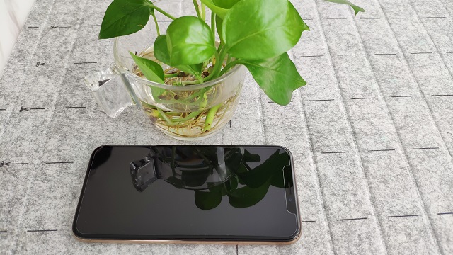 教你1分钟学会贴iPhone XS钢化膜.jpg