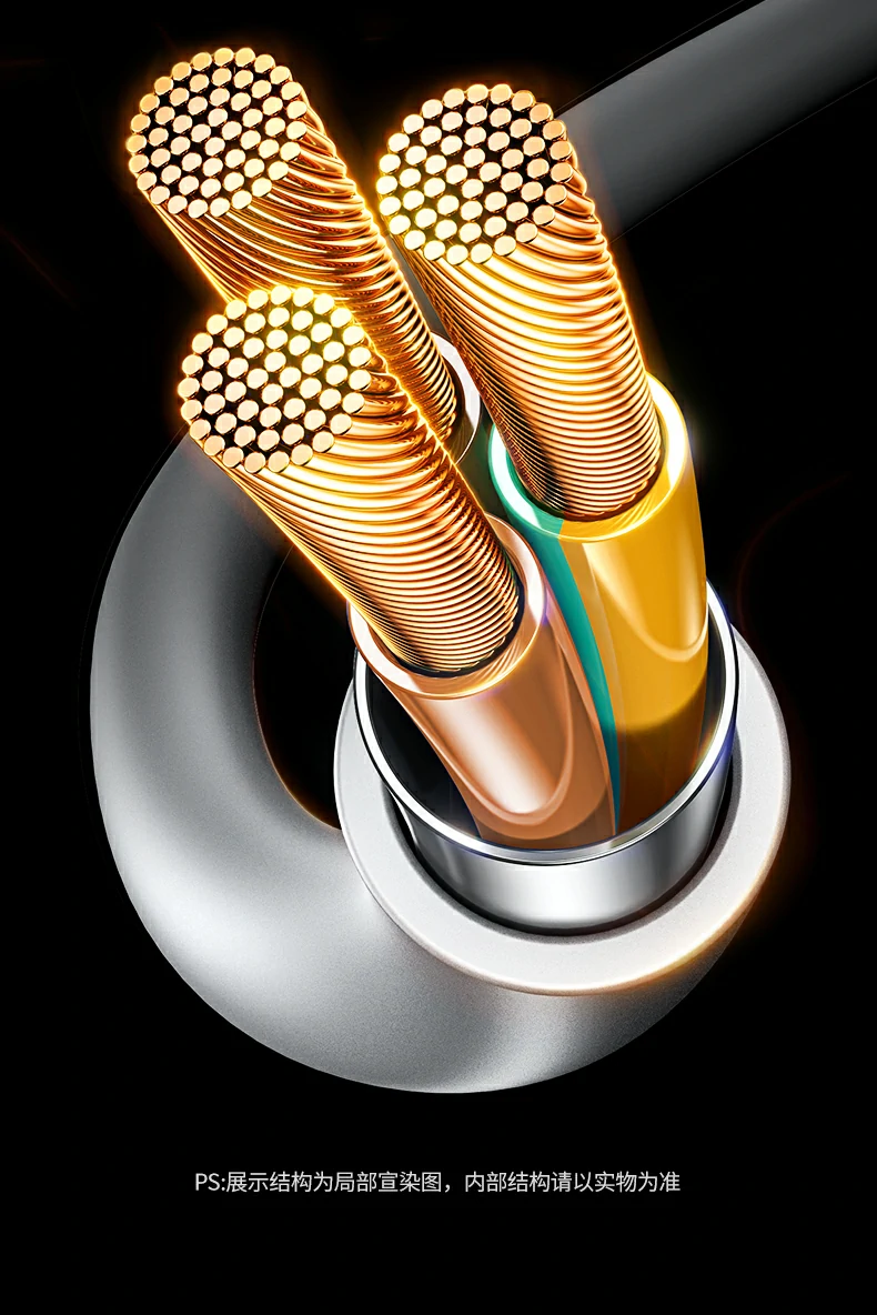 不同插头类型（三相、两相）插入效果展示