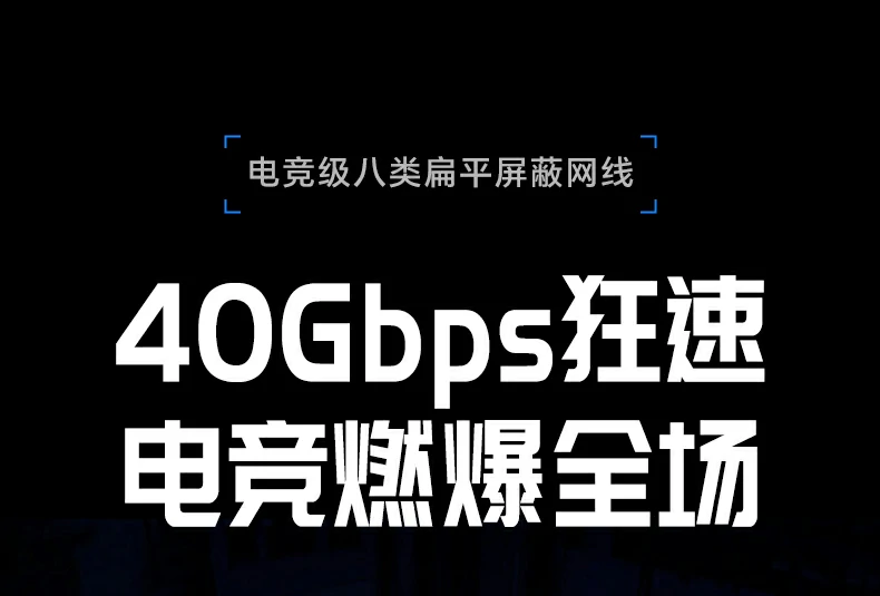意昂2NW291八类扁平万兆网线整体外观展示