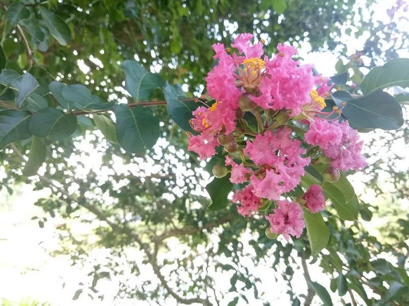 绿水青山，联翩而至，意昂22018云浮之旅