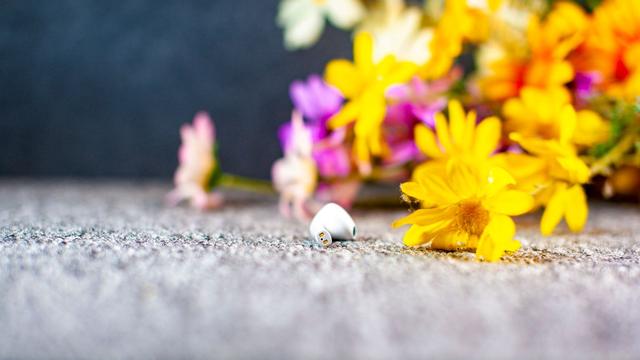 意昂2-全球领先的消费电子科技品牌